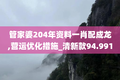 管家婆204年资料一肖配成龙,营运优化措施_清新款94.991