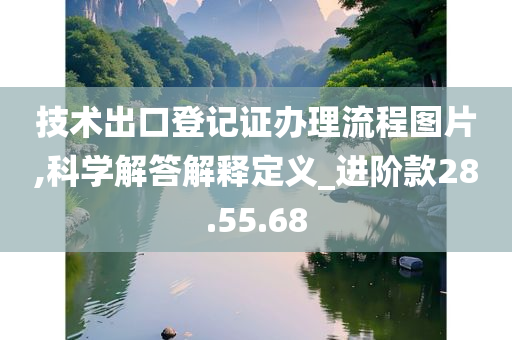 技术出口登记证办理流程图片,科学解答解释定义_进阶款28.55.68