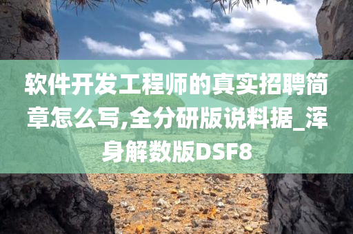 软件开发工程师的真实招聘简章怎么写,全分研版说料据_浑身解数版DSF8