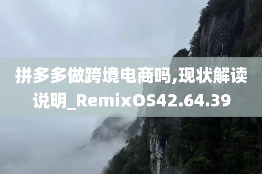 拼多多做跨境电商吗,现状解读说明_RemixOS42.64.39