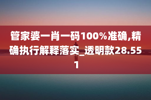 管家婆一肖一码100%准确,精确执行解释落实_透明款28.551