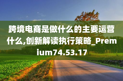 跨境电商是做什么的主要运营什么,创新解读执行策略_Premium74.53.17