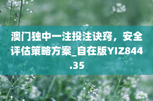 澳门独中一注投注诀窍，安全评估策略方案_自在版YIZ844.35