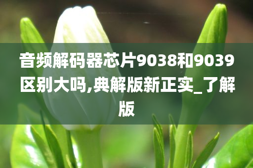 音频解码器芯片9038和9039区别大吗,典解版新正实_了解版