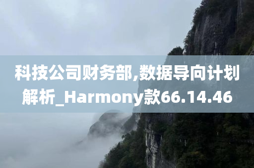 科技公司财务部,数据导向计划解析_Harmony款66.14.46