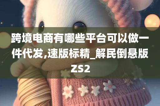 跨境电商有哪些平台可以做一件代发,速版标精_解民倒悬版ZS2