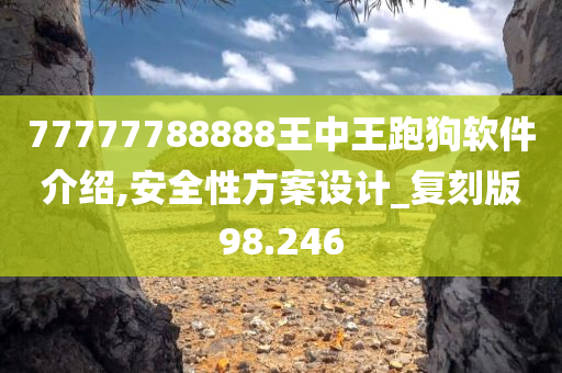 77777788888王中王跑狗软件介绍,安全性方案设计_复刻版98.246