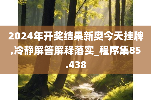 2024年开奖结果新奥今天挂牌,冷静解答解释落实_程序集85.438