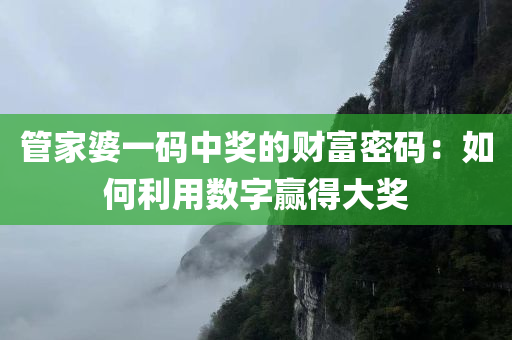 管家婆一码中奖的财富密码：如何利用数字赢得大奖