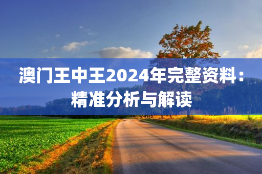 澳门王中王2024年完整资料：精准分析与解读