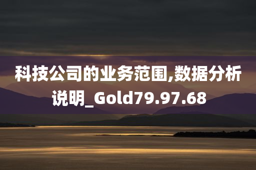 科技公司的业务范围,数据分析说明_Gold79.97.68