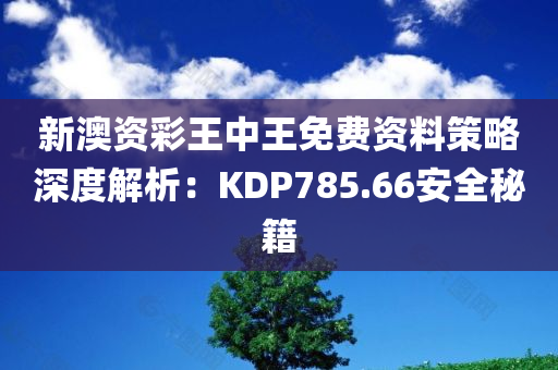 新澳资彩王中王免费资料策略深度解析：KDP785.66安全秘籍