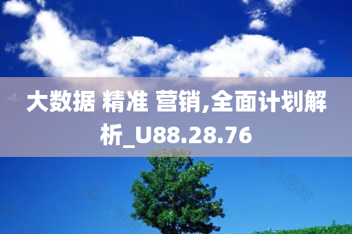 大数据 精准 营销,全面计划解析_U88.28.76