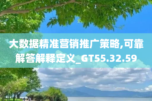 大数据精准营销推广策略,可靠解答解释定义_GT55.32.59