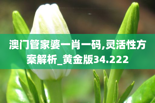 澳门管家婆一肖一码,灵活性方案解析_黄金版34.222