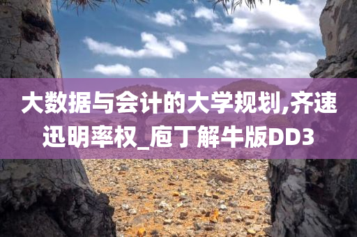 大数据与会计的大学规划,齐速迅明率权_庖丁解牛版DD3