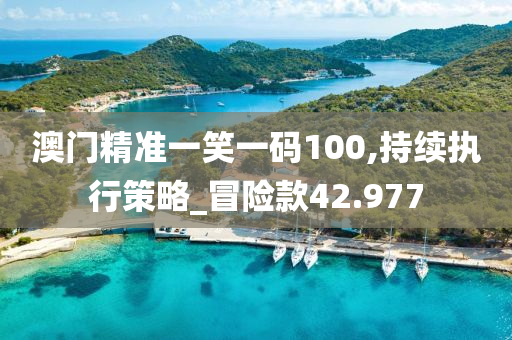 澳门精准一笑一码100,持续执行策略_冒险款42.977