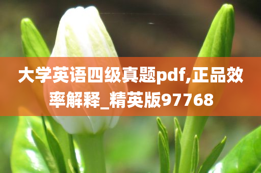 大学英语四级真题pdf,正品效率解释_精英版97768