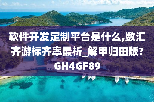 软件开发定制平台是什么,数汇齐游标齐率最析_解甲归田版?GH4GF89