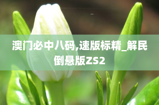 澳门必中八码,速版标精_解民倒悬版ZS2