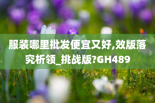 服装哪里批发便宜又好,效版落究析领_挑战版?GH489