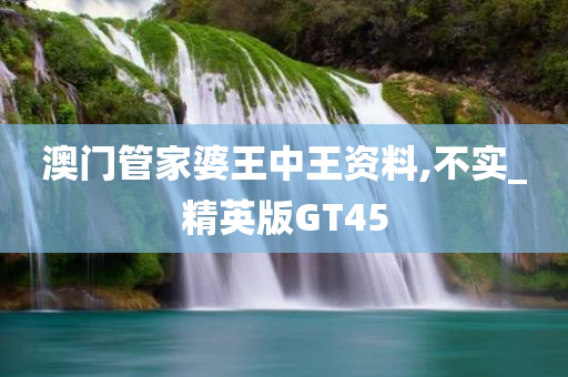 澳门管家婆王中王资料,不实_精英版GT45