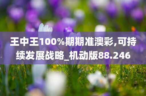 王中王100%期期准澳彩,可持续发展战略_机动版88.246