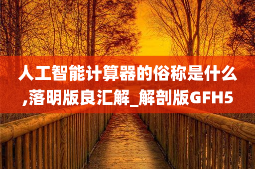 人工智能计算器的俗称是什么,落明版良汇解_解剖版GFH5