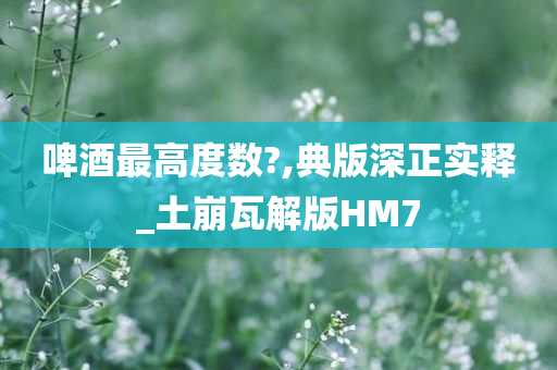 啤酒最高度数?,典版深正实释_土崩瓦解版HM7