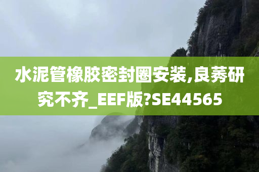 水泥管橡胶密封圈安装,良莠研究不齐_EEF版?SE44565