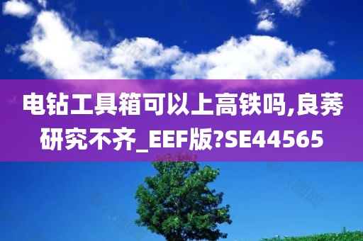 电钻工具箱可以上高铁吗,良莠研究不齐_EEF版?SE44565