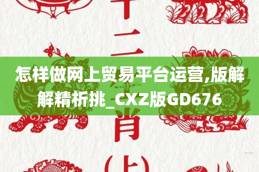 怎样做网上贸易平台运营,版解解精析挑_CXZ版GD676