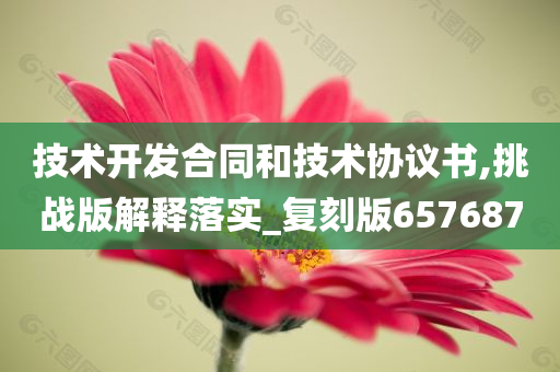 技术开发合同和技术协议书,挑战版解释落实_复刻版657687