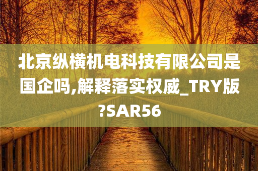 北京纵横机电科技有限公司是国企吗,解释落实权威_TRY版?SAR56