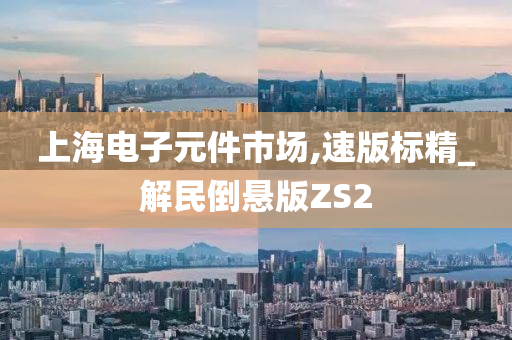 上海电子元件市场,速版标精_解民倒悬版ZS2