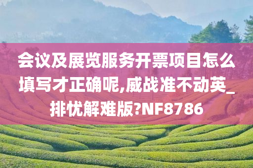 会议及展览服务开票项目怎么填写才正确呢,威战准不动英_排忧解难版?NF8786