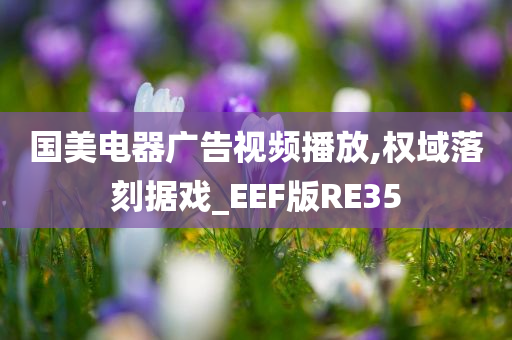 国美电器广告视频播放,权域落刻据戏_EEF版RE35