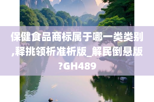 保健食品商标属于哪一类类别,释挑领析准析版_解民倒悬版?GH489