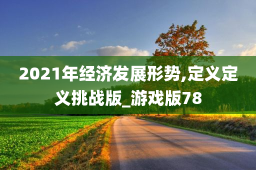 2021年经济发展形势,定义定义挑战版_游戏版78