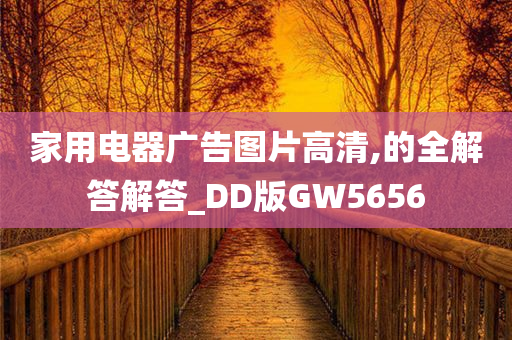 家用电器广告图片高清,的全解答解答_DD版GW5656