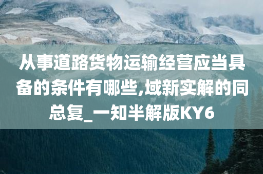 从事道路货物运输经营应当具备的条件有哪些,域新实解的同总复_一知半解版KY6