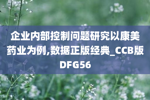 企业内部控制问题研究以康美药业为例,数据正版经典_CCB版DFG56