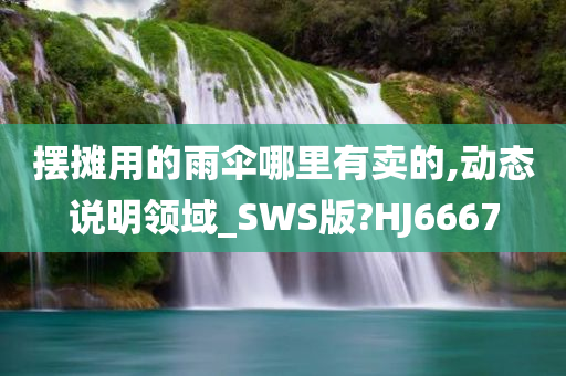 摆摊用的雨伞哪里有卖的,动态说明领域_SWS版?HJ6667