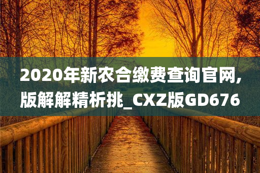 2020年新农合缴费查询官网,版解解精析挑_CXZ版GD676