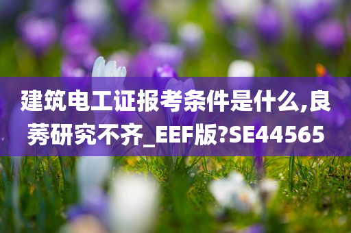 建筑电工证报考条件是什么,良莠研究不齐_EEF版?SE44565