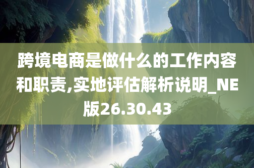 跨境电商是做什么的工作内容和职责,实地评估解析说明_NE版26.30.43