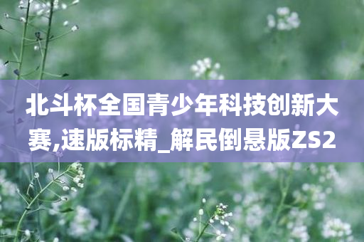 北斗杯全国青少年科技创新大赛,速版标精_解民倒悬版ZS2