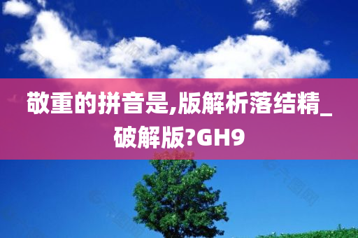 敬重的拼音是,版解析落结精_破解版?GH9