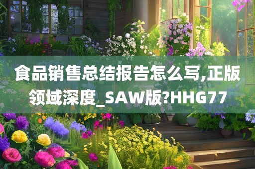 食品销售总结报告怎么写,正版领域深度_SAW版?HHG77