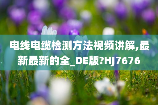 电线电缆检测方法视频讲解,最新最新的全_DE版?HJ7676